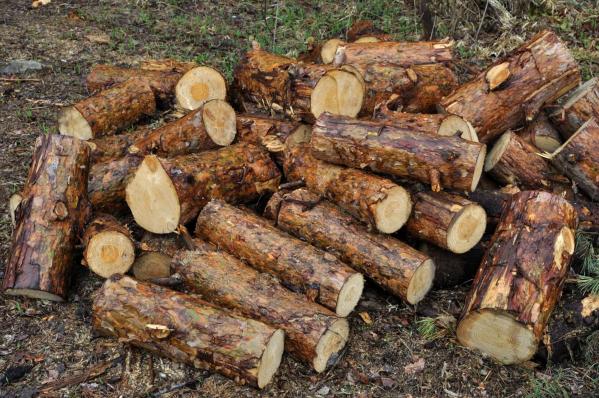 How many kiln dried logs are in each bag? We discuss
