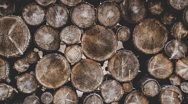 What is the Process for Kiln Drying Wood and How Does it Improve Firewood Quality?