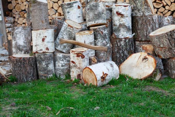 The benefits of buying kiln dried mixed logs
