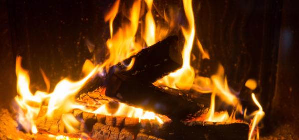 Are kiln dried logs worth the money? Your burning questions answered