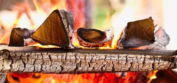 The five woods you should never burn and five that are ideal for fires