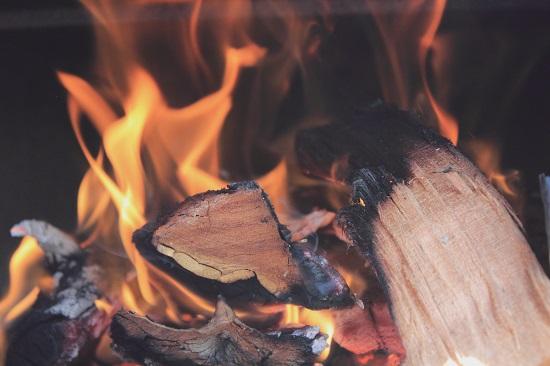 The Benefits of Buying Locally Sourced Firewood and Sustainable Kiln Dried Logs