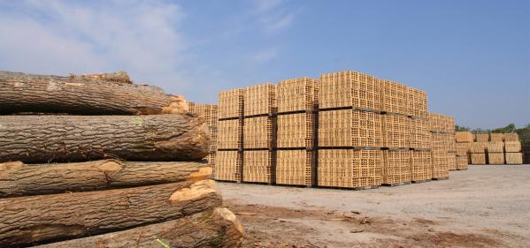 Where can you buy kiln dried log crates?