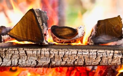 Five Good and Bad Woods to Burn in Log Burners, Wood Burning Stoves, and Open Fires [UPDATED]