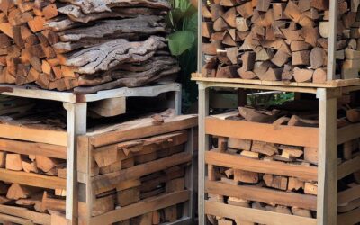 Why Sustainable Wood Matters: The Environmental Benefits of Using Kiln-dried Firewood Logs in Your Home [UPDATED]