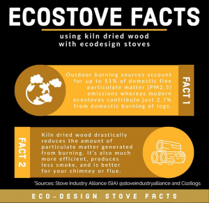 EcoStove-Facts-300x291
