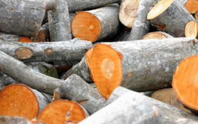 Storing logs outside: Should you keep them in bags? [UPDATED]