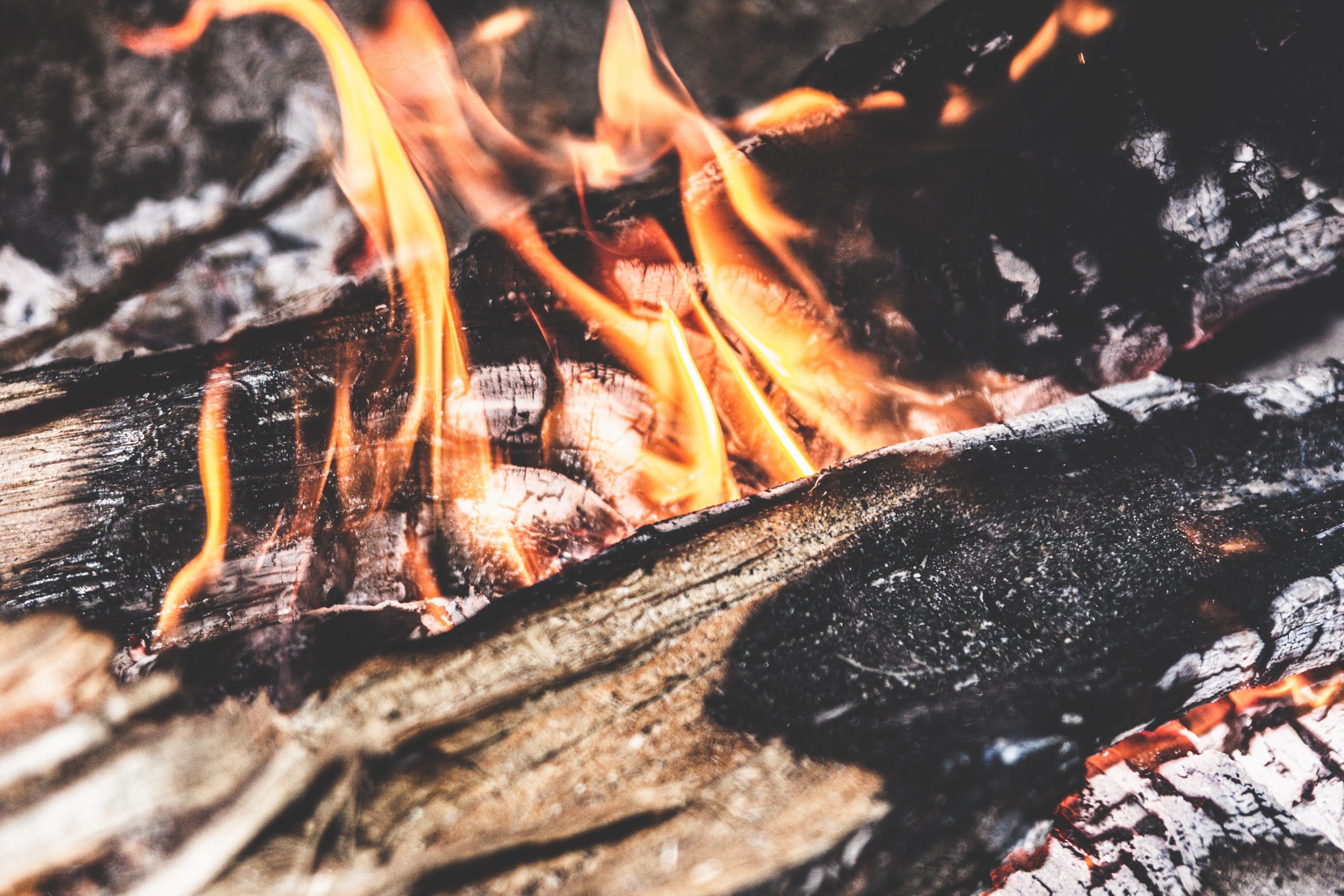Logs-Ablaze-scaled