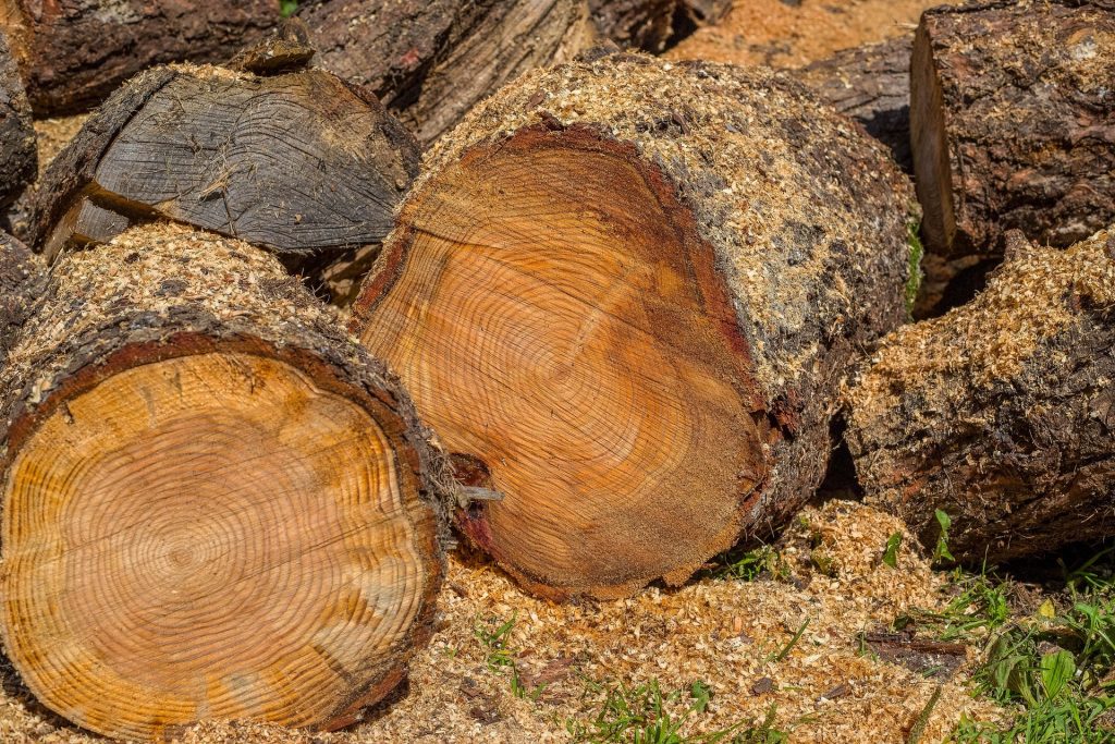 Split-Firewood-Correct-Location-1024x683