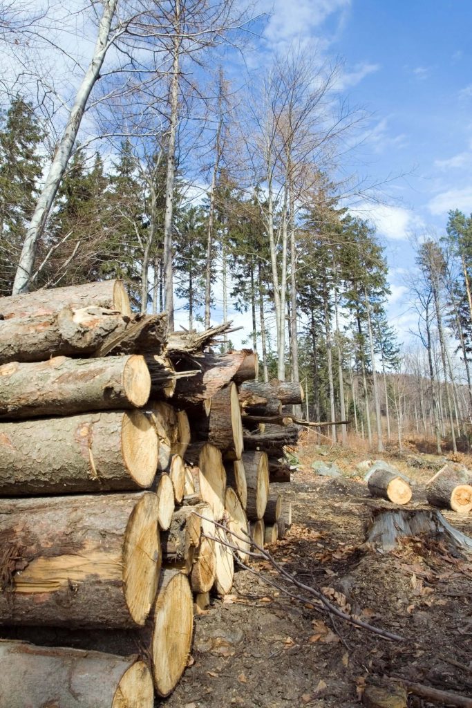 BULK LOGS