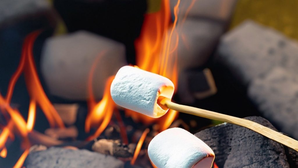 Toasting marshmallows on an open fire